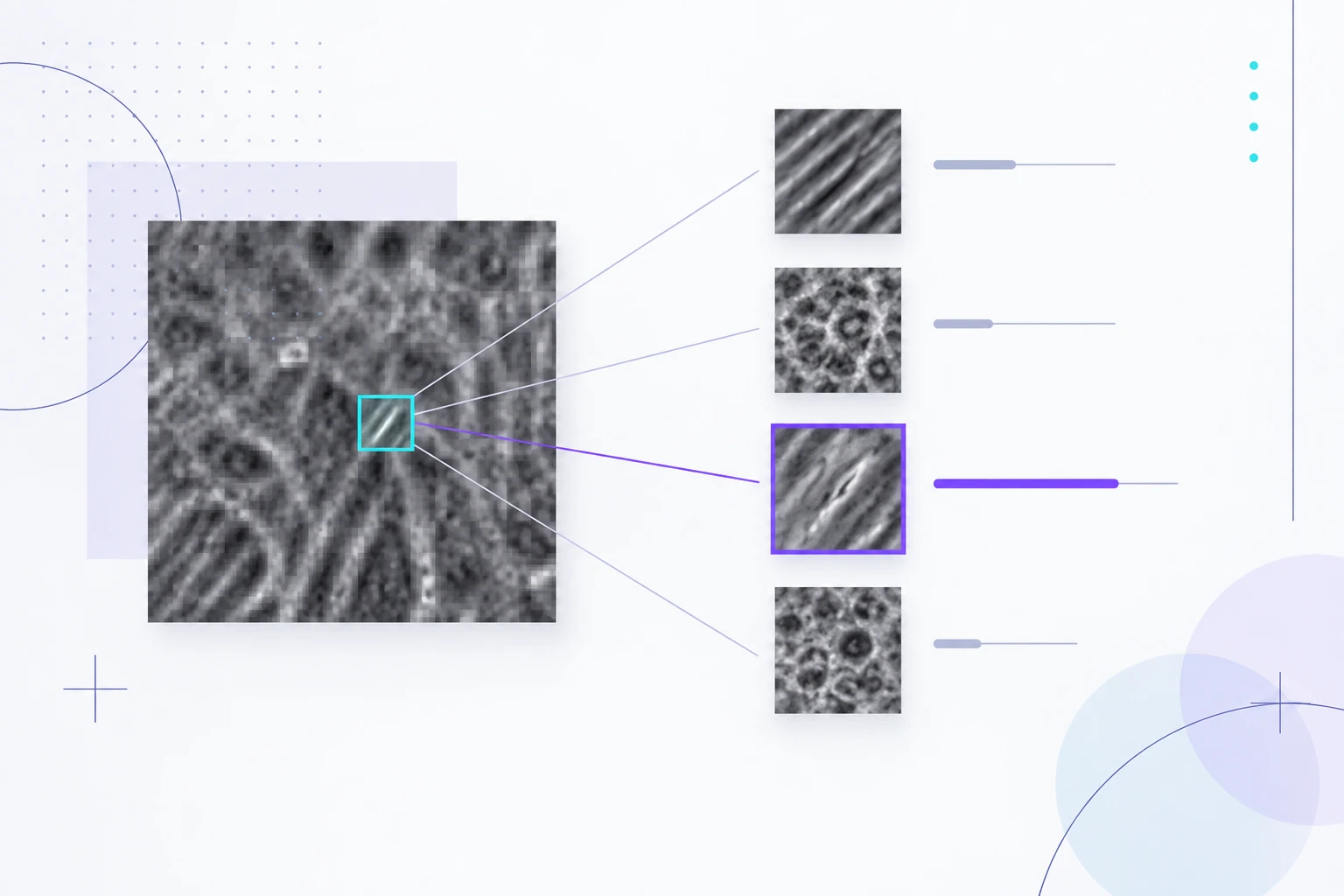 Diagram comparing selected image evidence with learned visual prototypes.