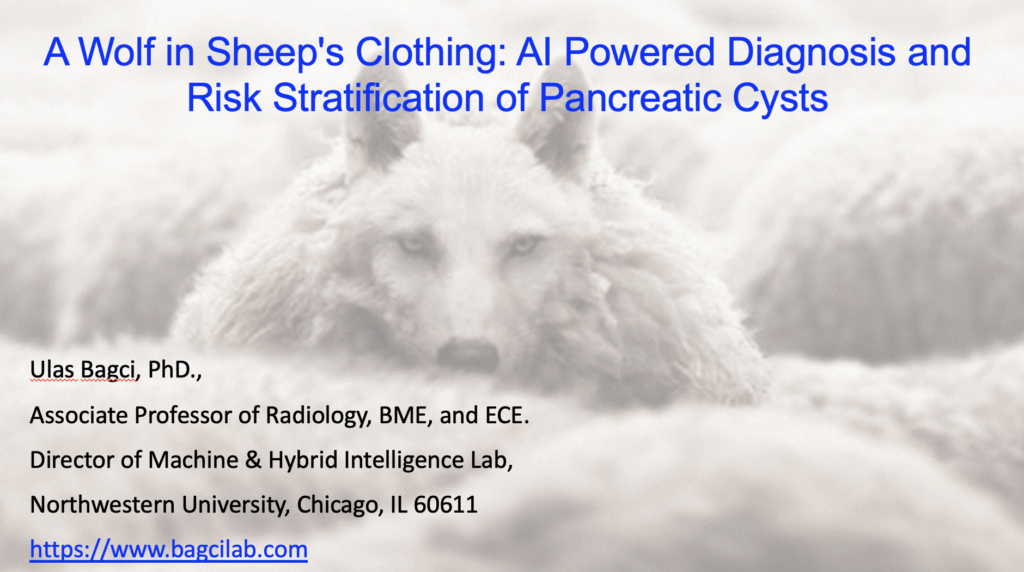 Dr. Bagci has given an invited talk at Suzhou’s Medical Imaging Workshop — original accompanying document or figure