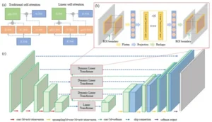 Dynamic Linear Transformer for 3D Biomedical Image Segmentation