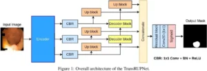 TransRUPNet for Improved Out-of-Distribution Generalization in Polyp Segmentation