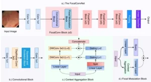 Video Capsule Endoscopy Classification using Focal Modulation Guided Convolutional Neural Network